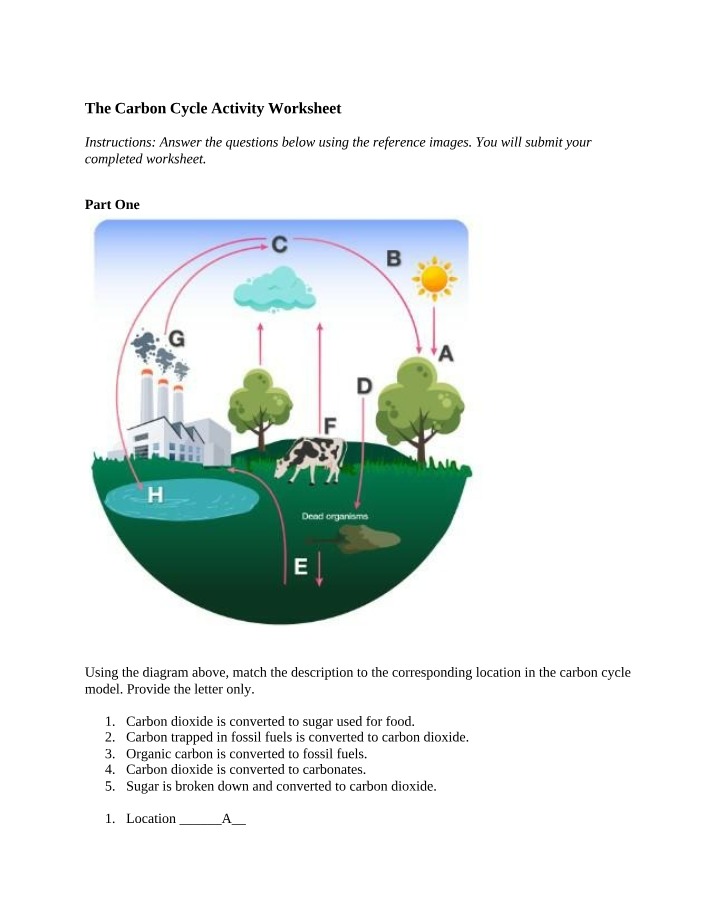 Instructions for Carbon Cycle Activity Worksheet