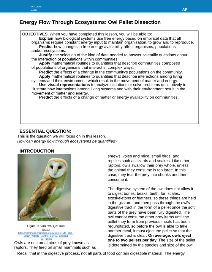 Owl Pellet Dissection - Quantifying Ecosystem Energy Flow