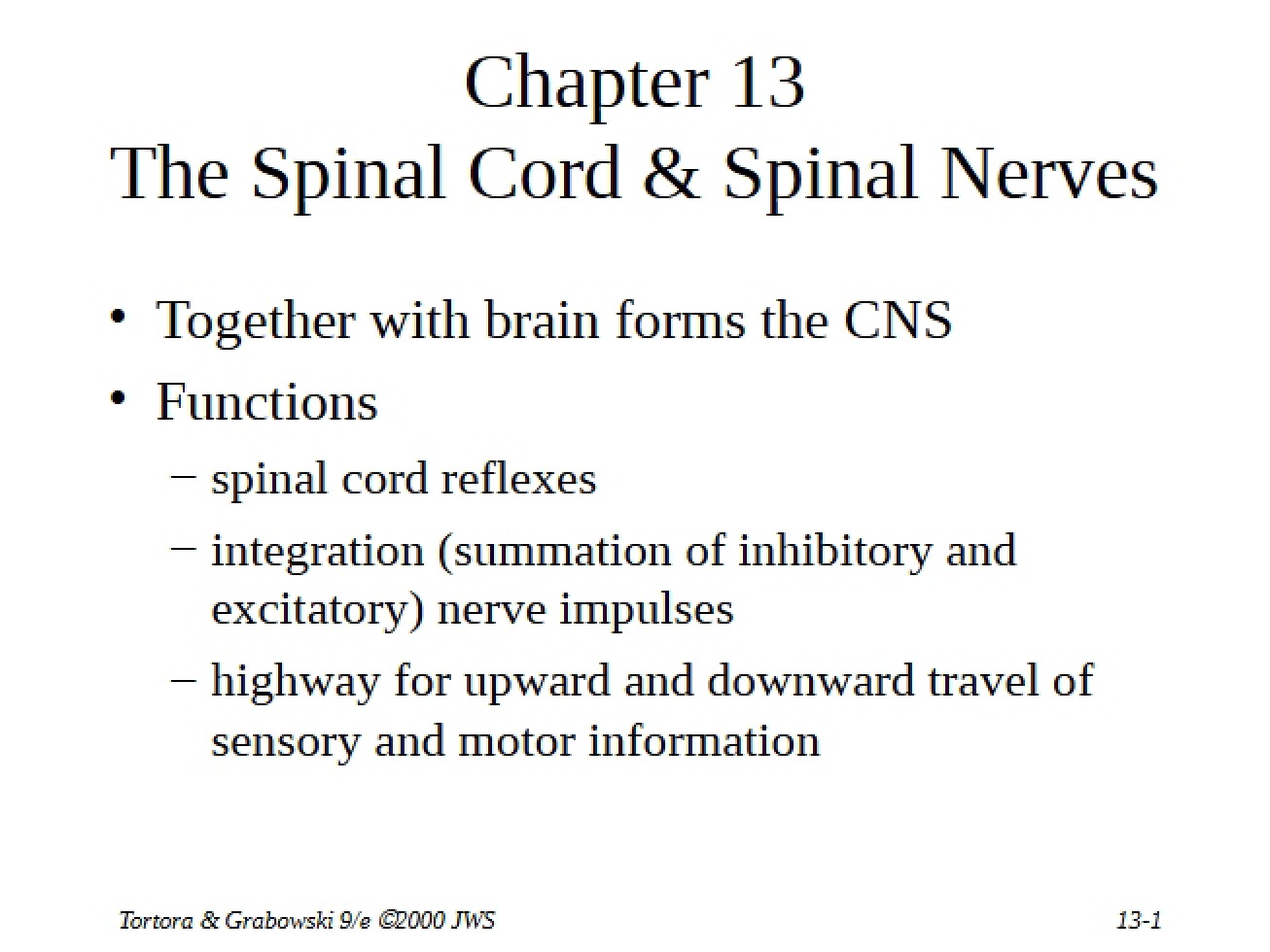 Spinal Nerves and Spinal Cord
