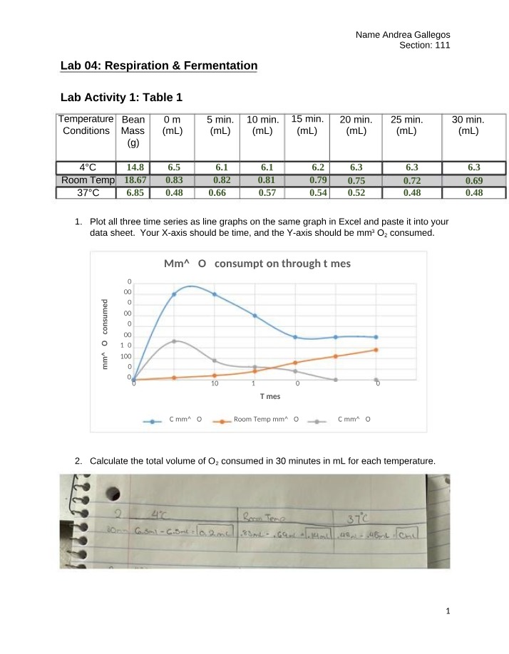 Respiration and Fermentation Lab