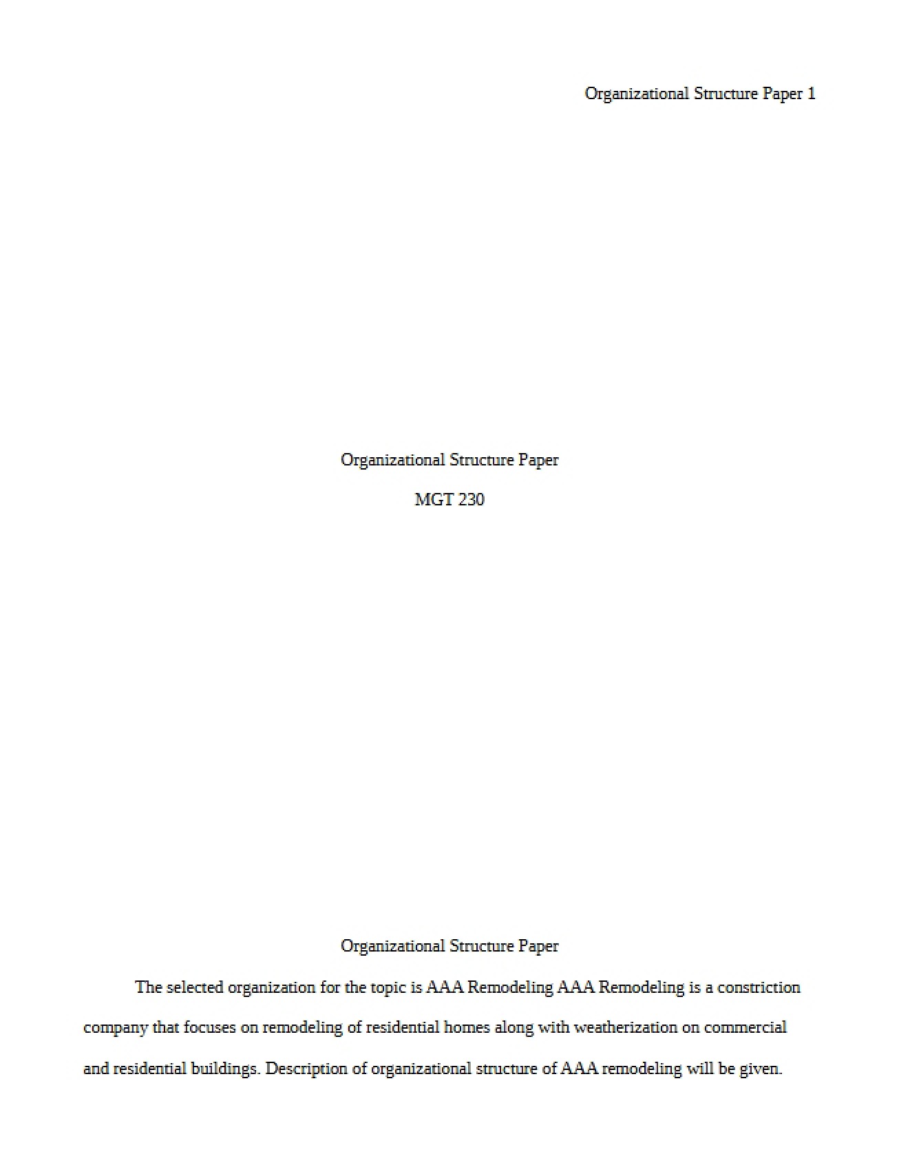 Paper One Organizational Structure