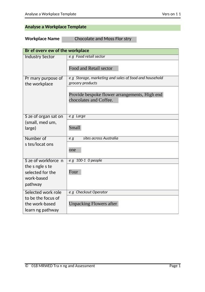 Workplace Analysis Template 2