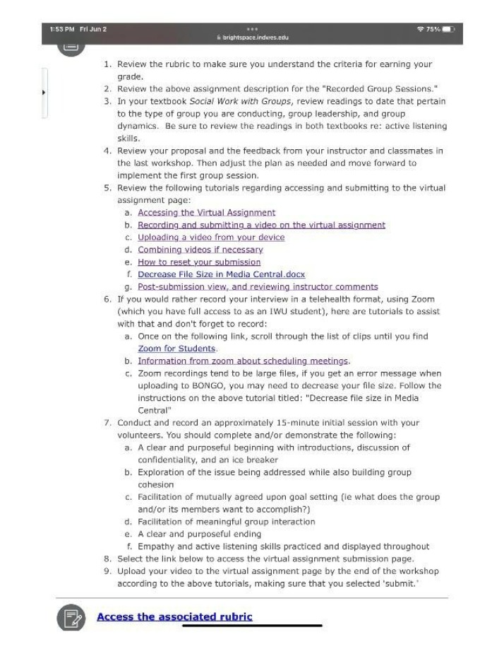 Assignment Instructions - Recorded Group Sessions
