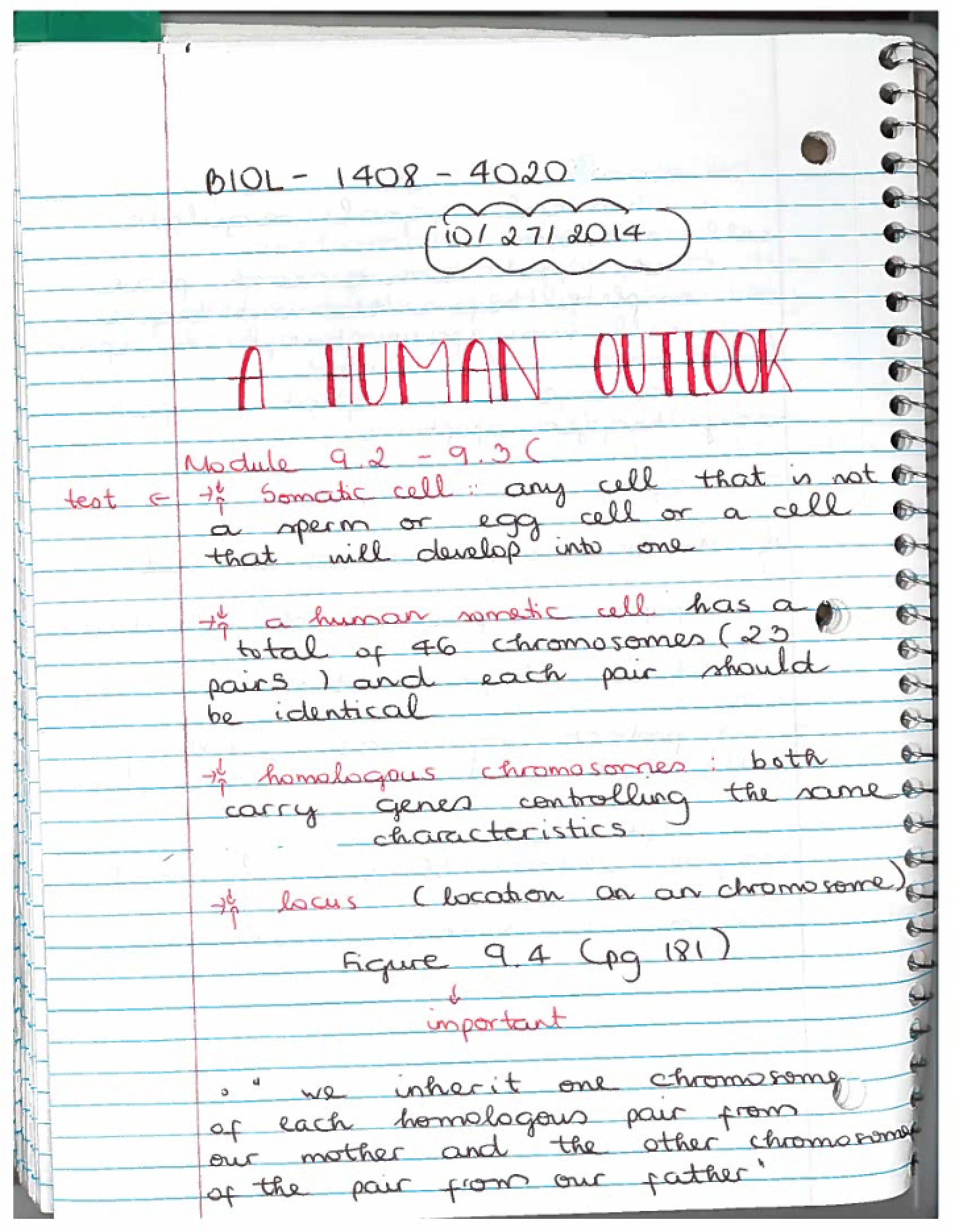 Class Notes