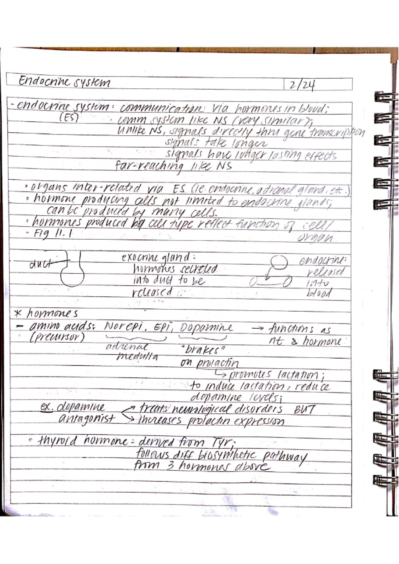General Notes for Systems Physiology