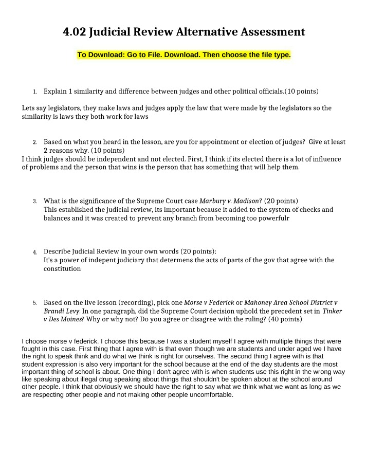 Alternative Assessment - 4.02 Judicial Review
