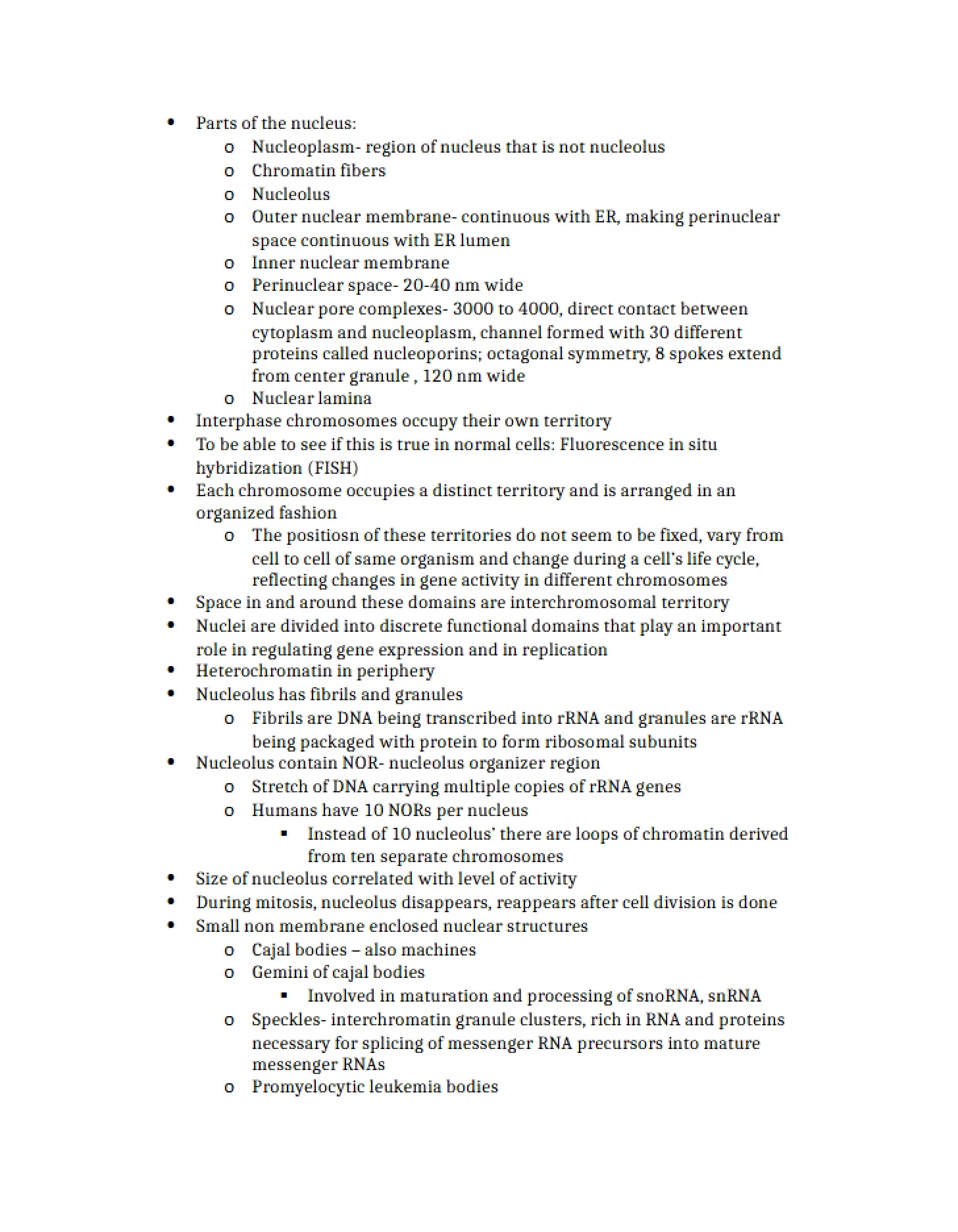 Nucleus Components