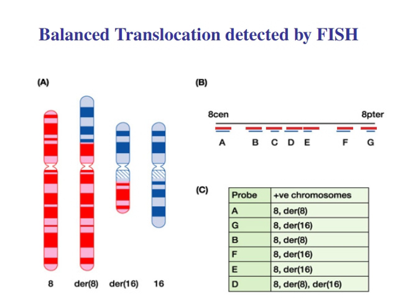 Biotech Topic Five