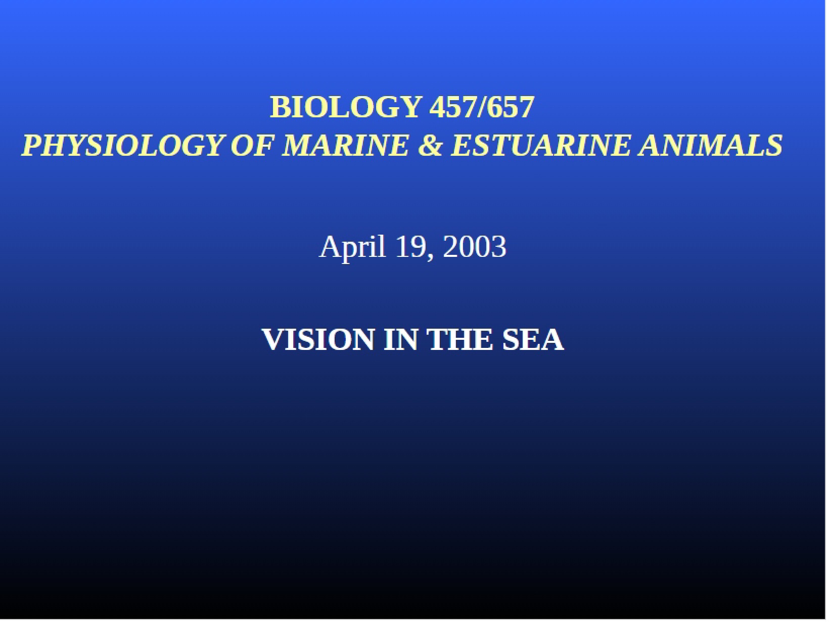 Marine Vision