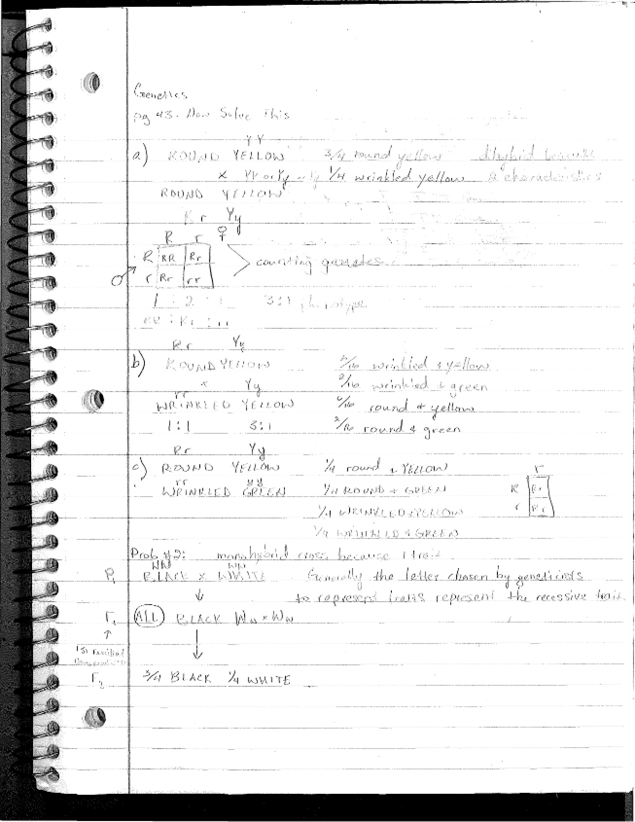 Academic Notes Genetics