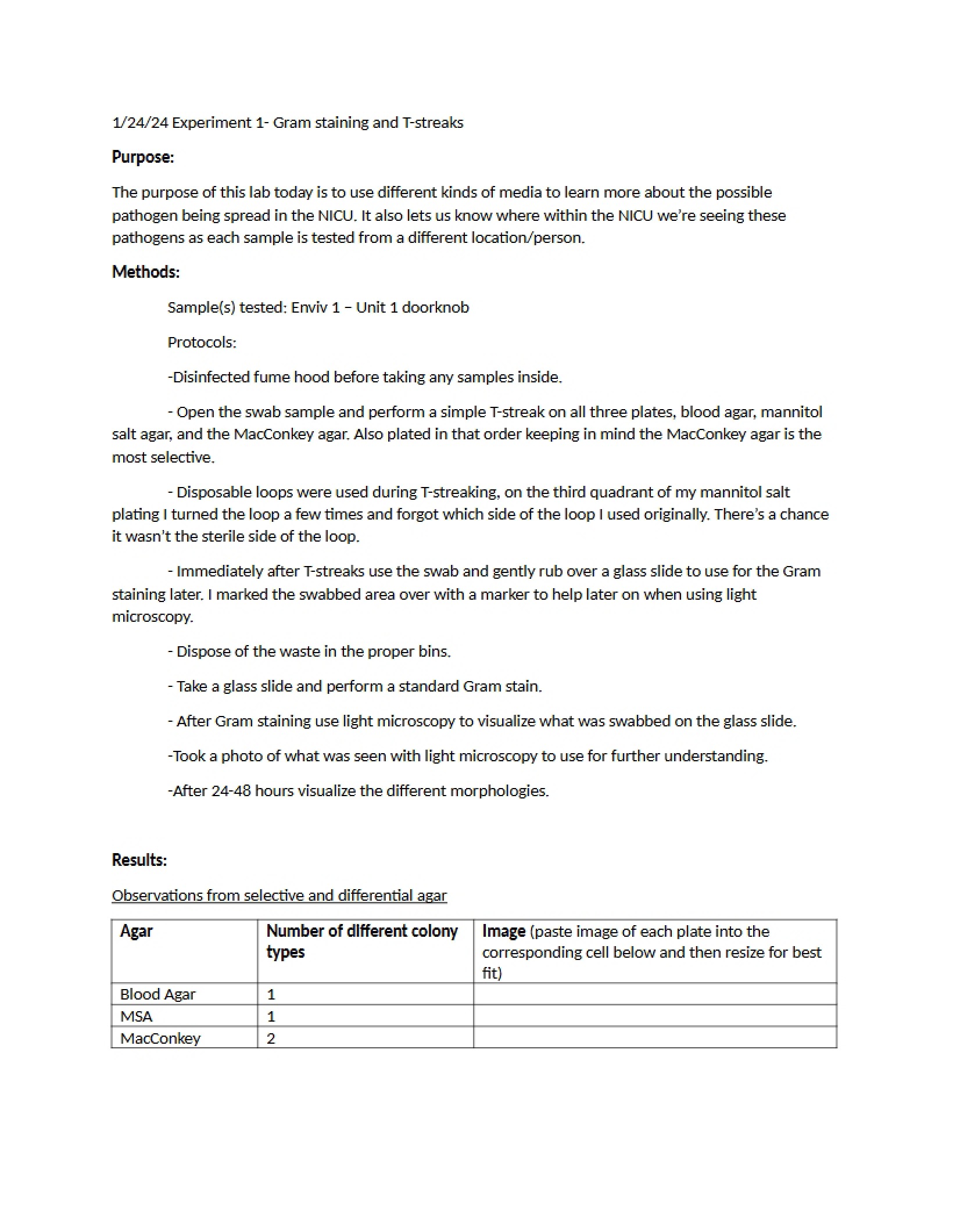 Template for Lab Exercise 1