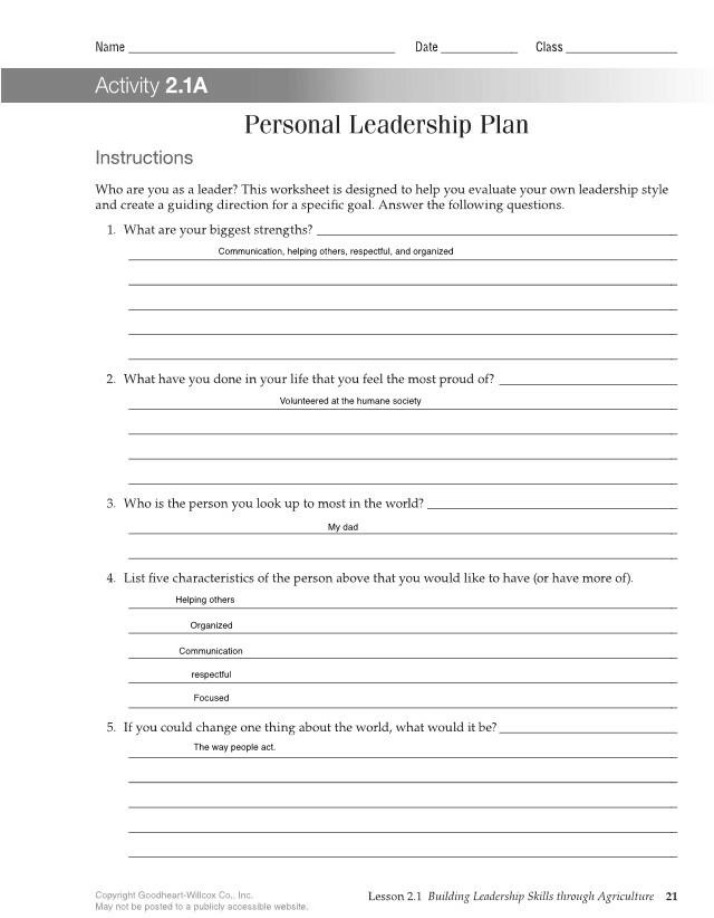 Worksheet for Personal Leadership Plan