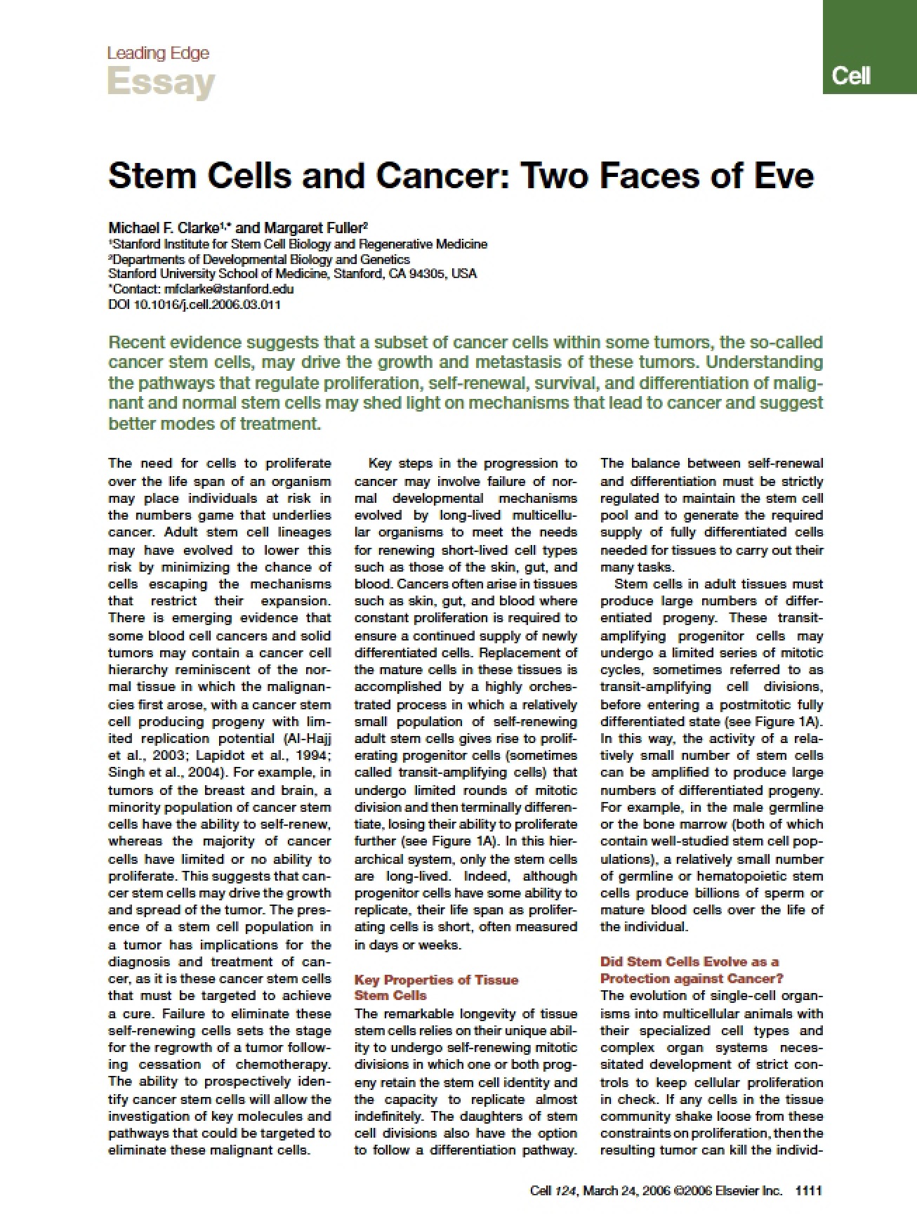 Relationship Between Stem Cells and Cancer