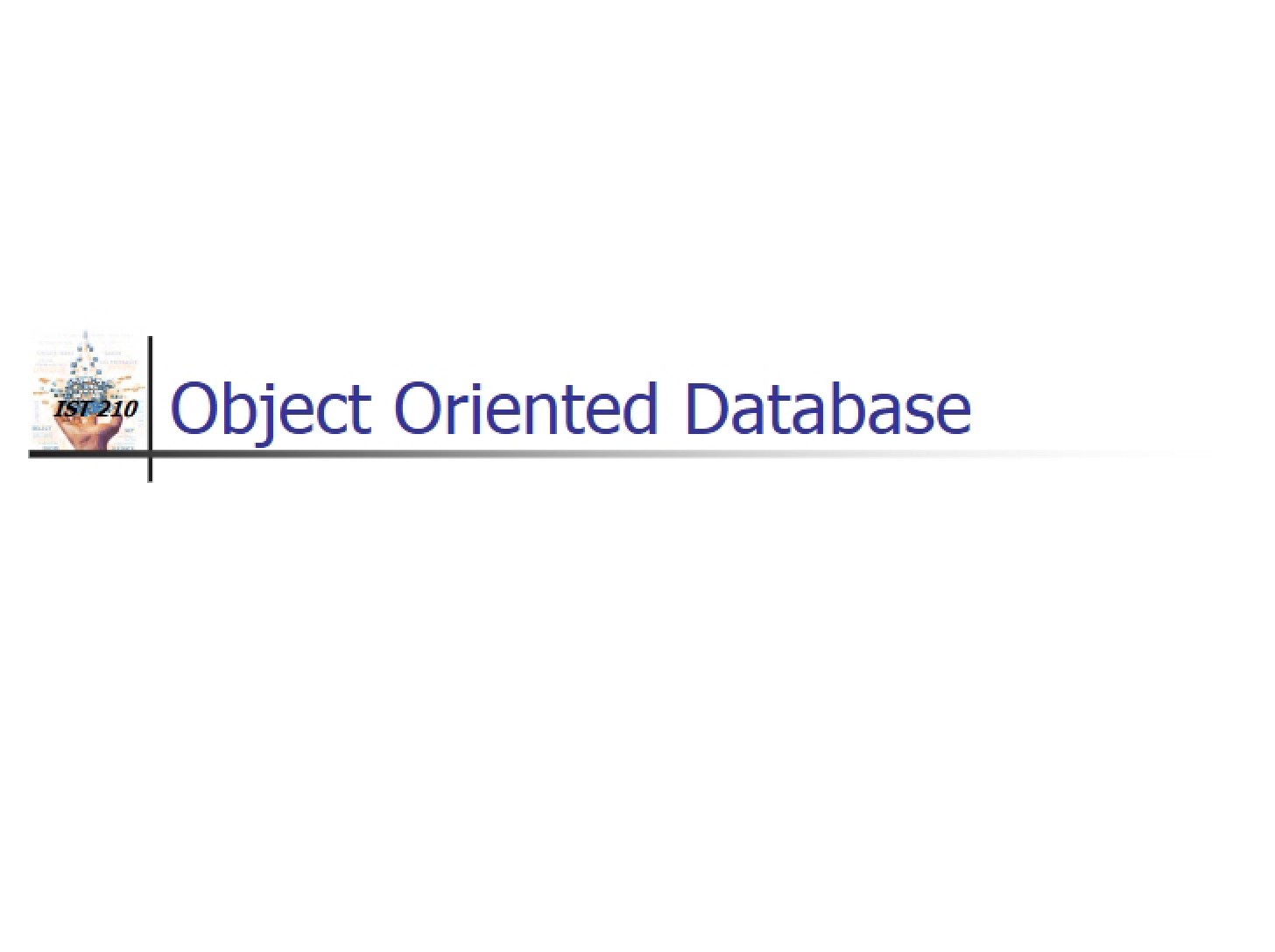 Object Oriented Database Systems