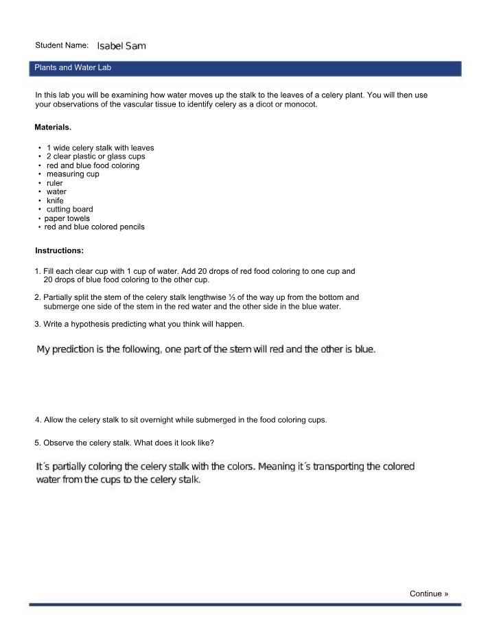 Worksheet for Plants and Water Lab