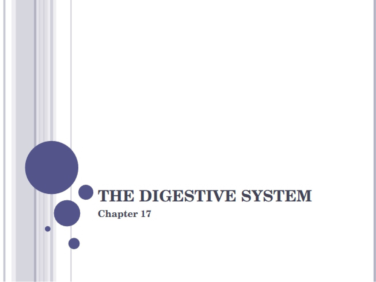 Guide to the Human Digestive System