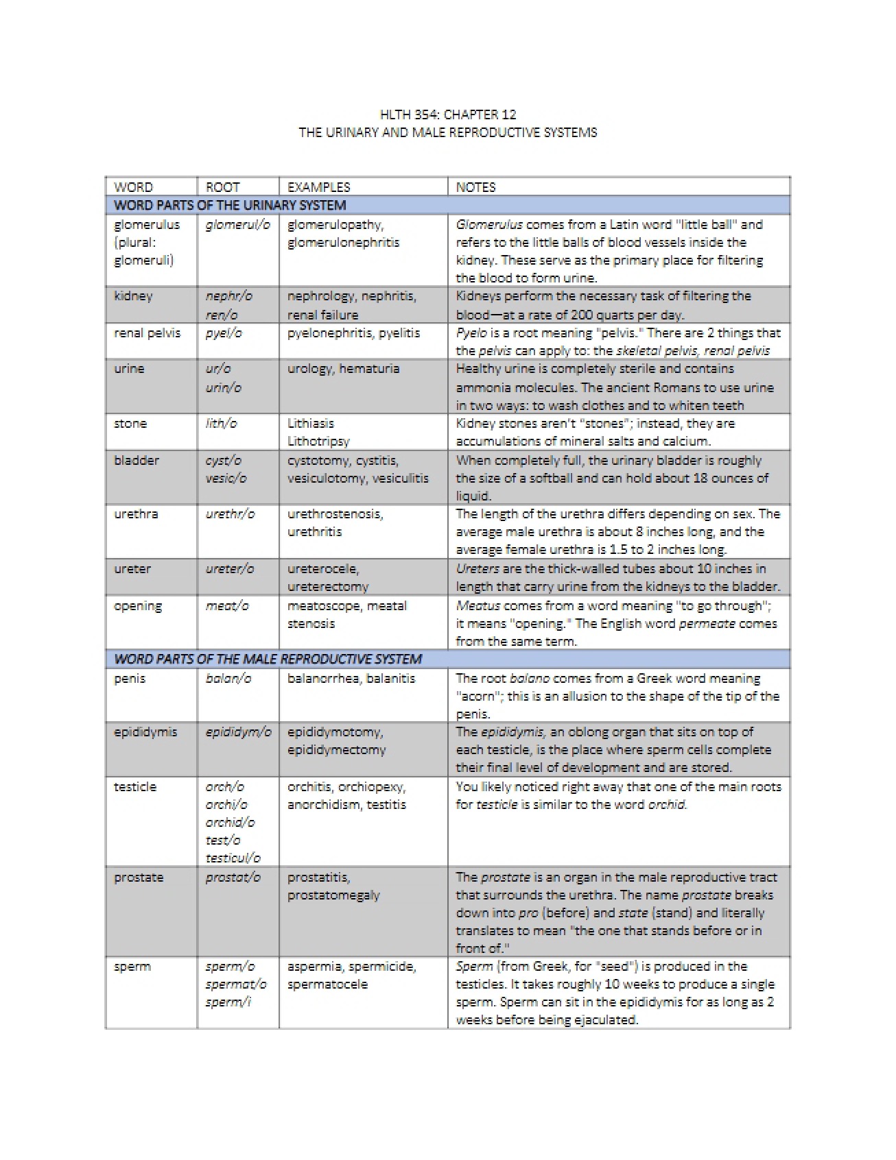 Overview of the Urinary and Male Reproductive Systems