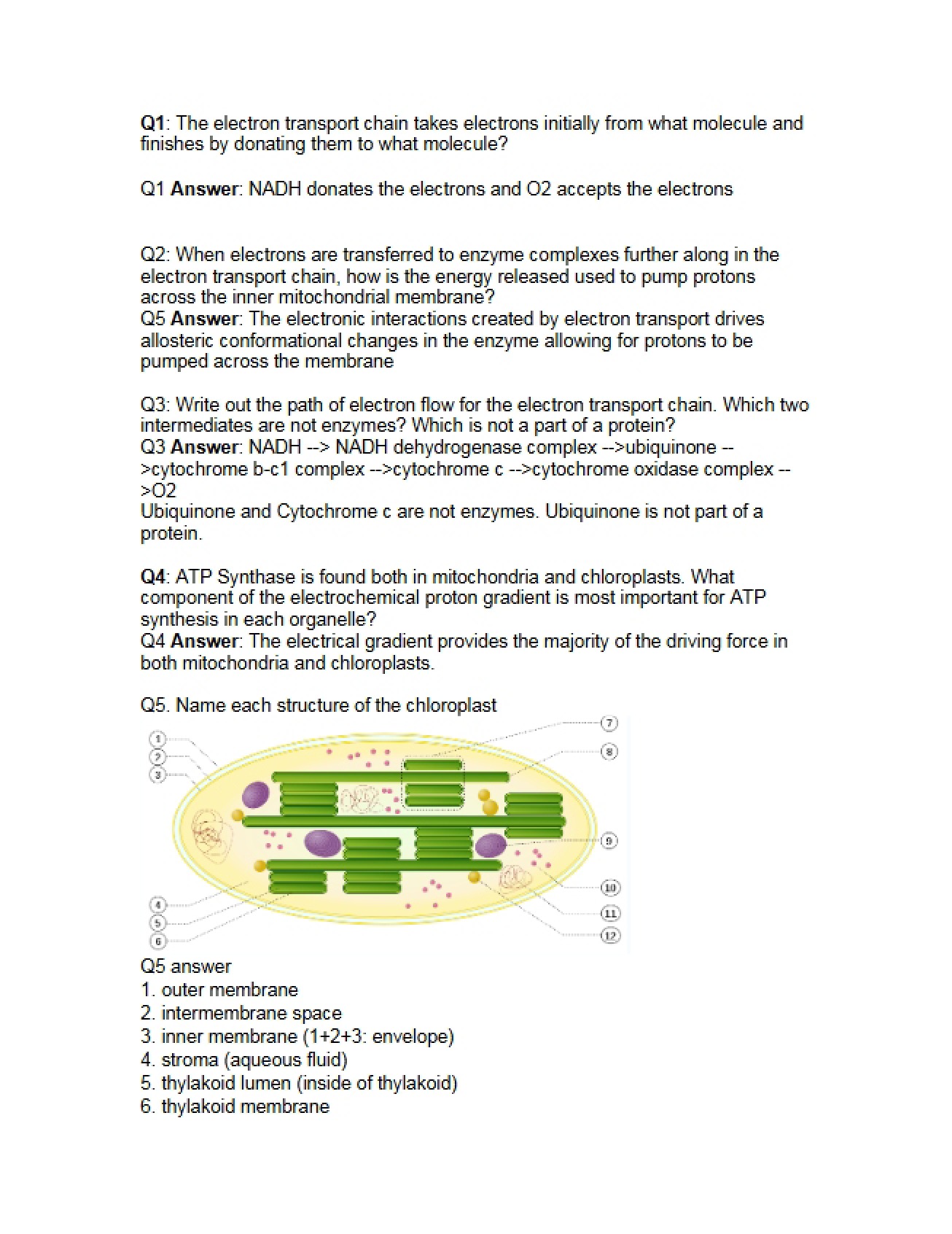 Answer Key for Cell Biology