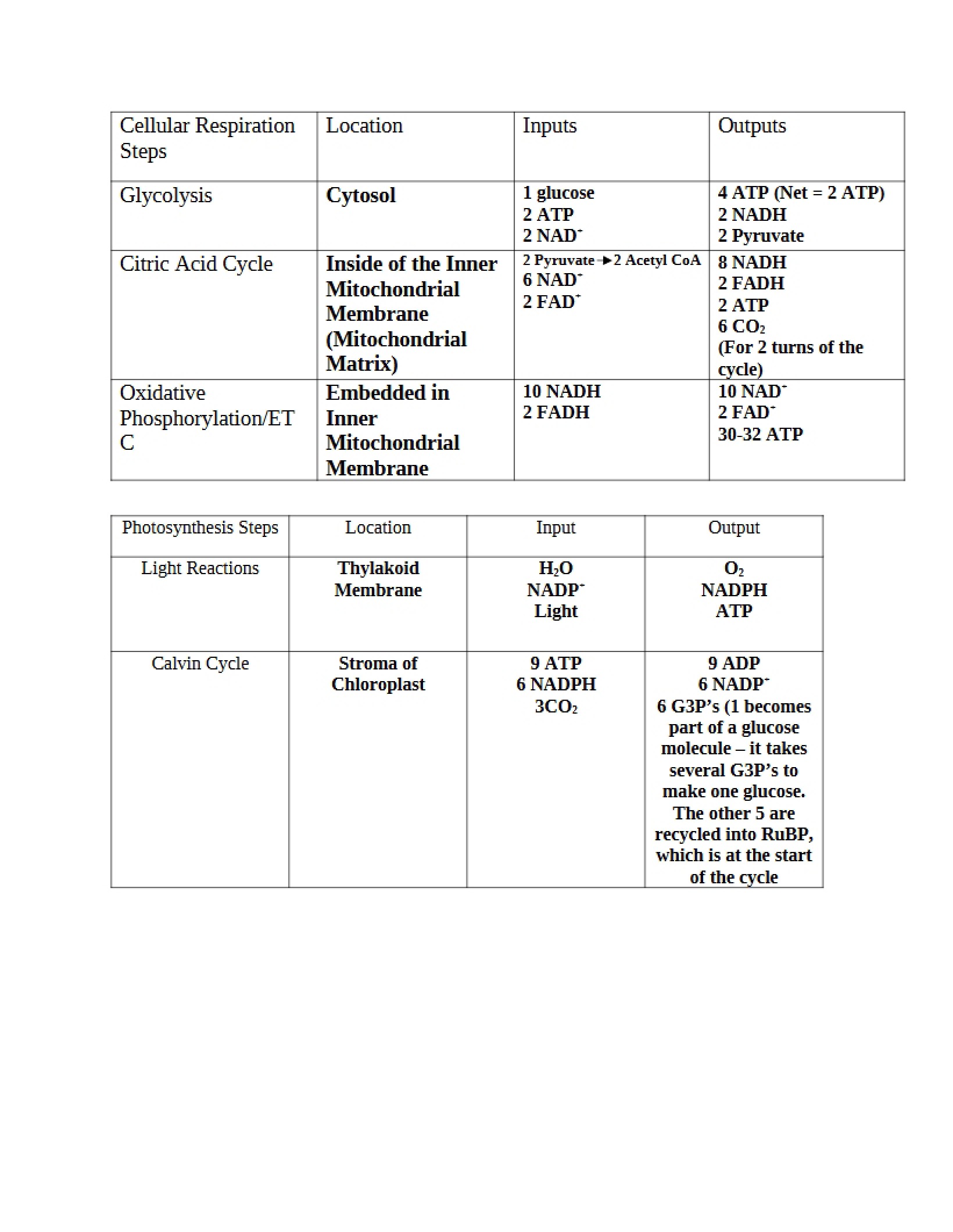 Biological Systems Notes