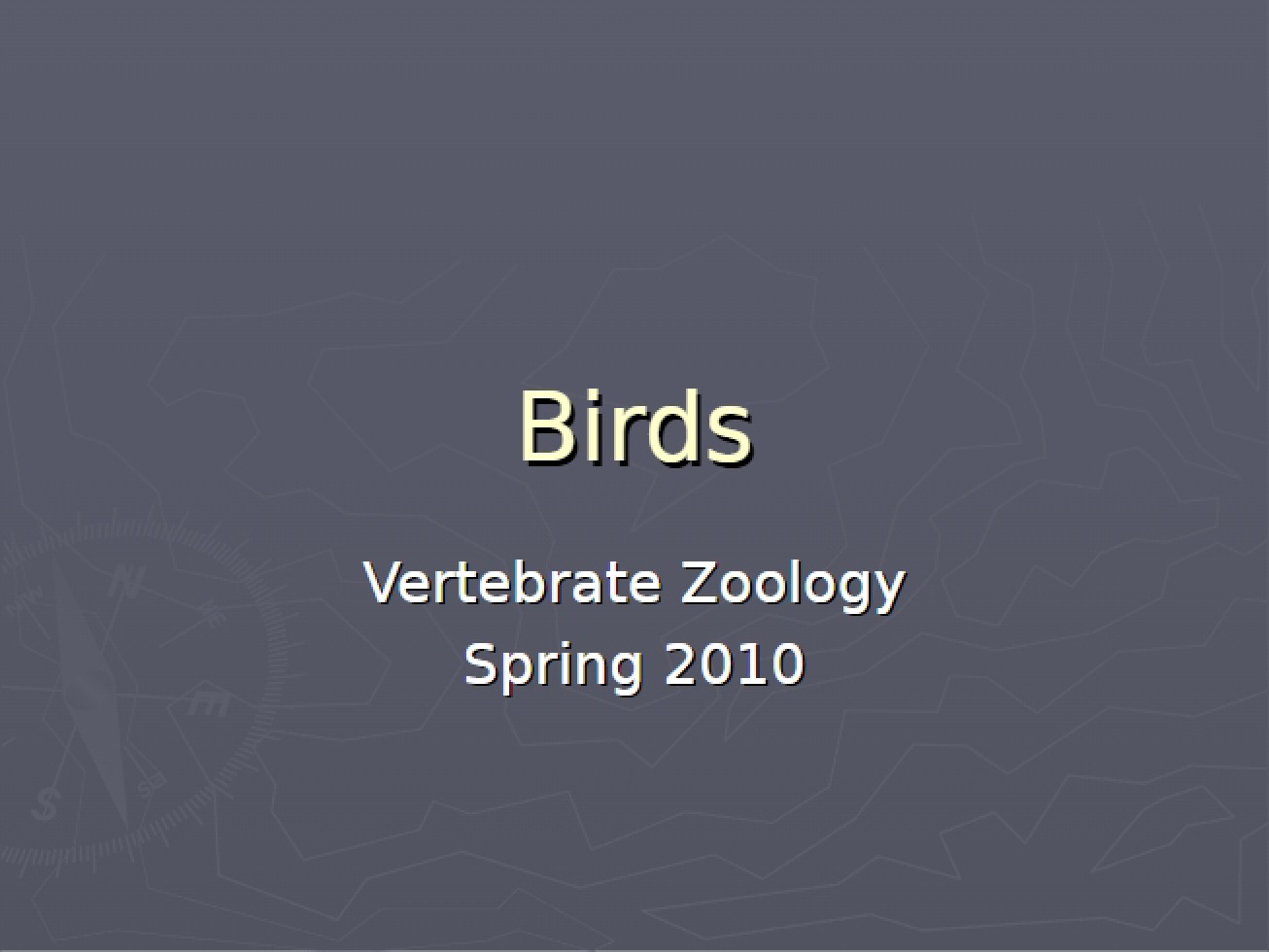Birds Lab