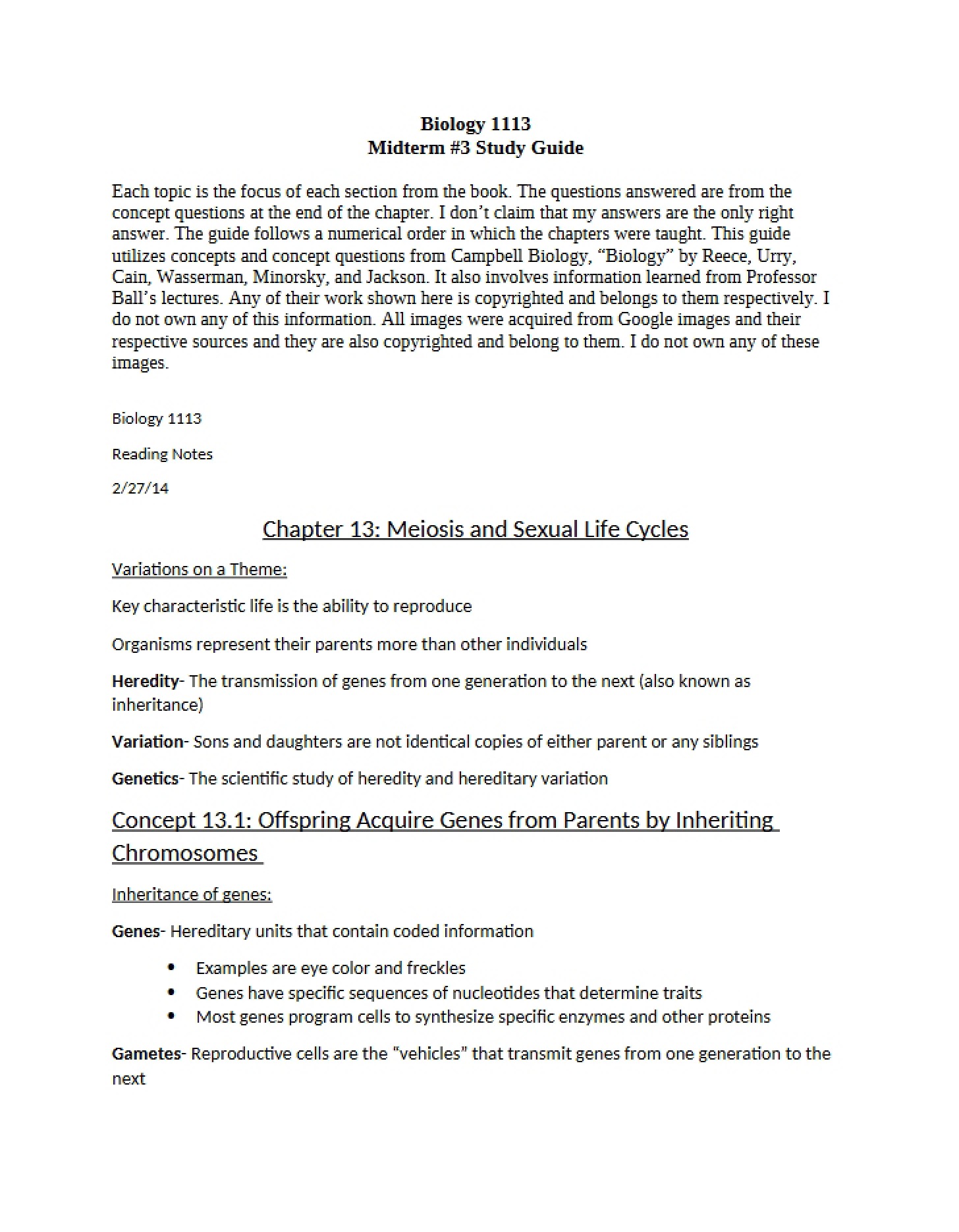 Study Guide Third Midterm