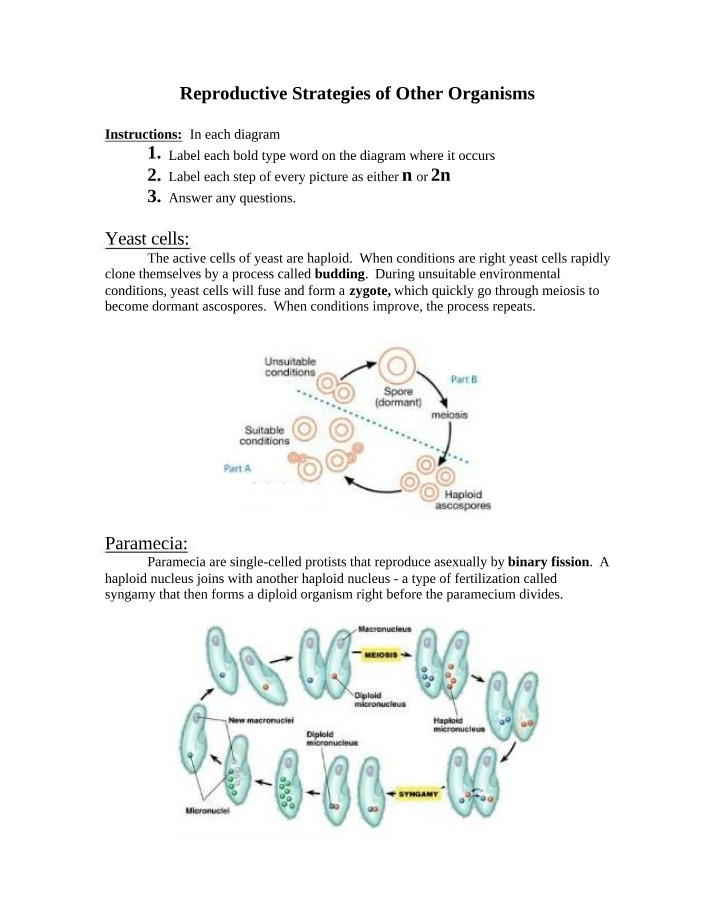 Reproductive Strategies of Yeast, Paramecia, and Other Organisms