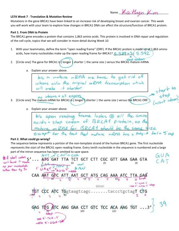 Week 7 Mutation and Translation