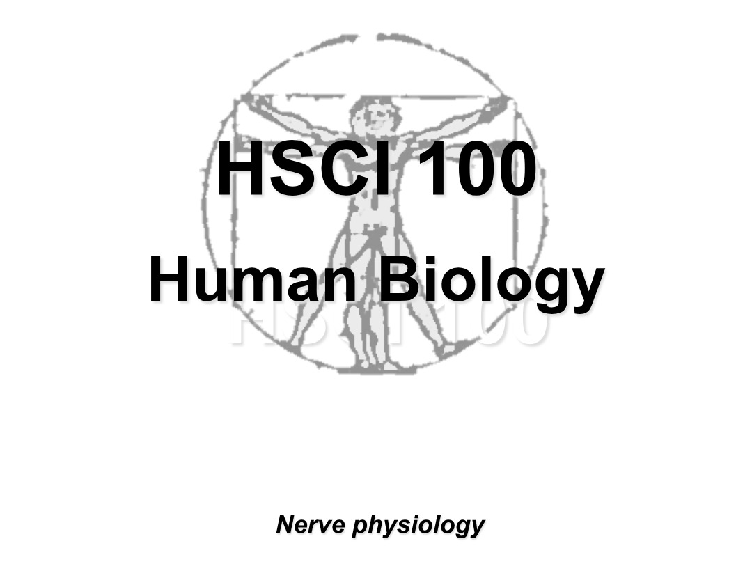 Human Biology - Nerve Physiology Notes