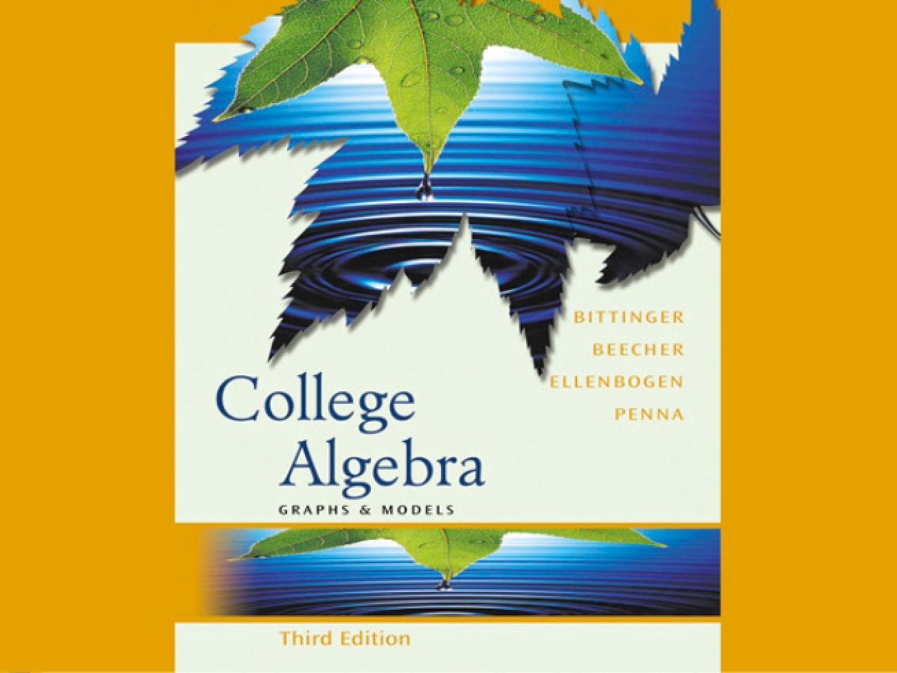 Algebra's Basic Concepts