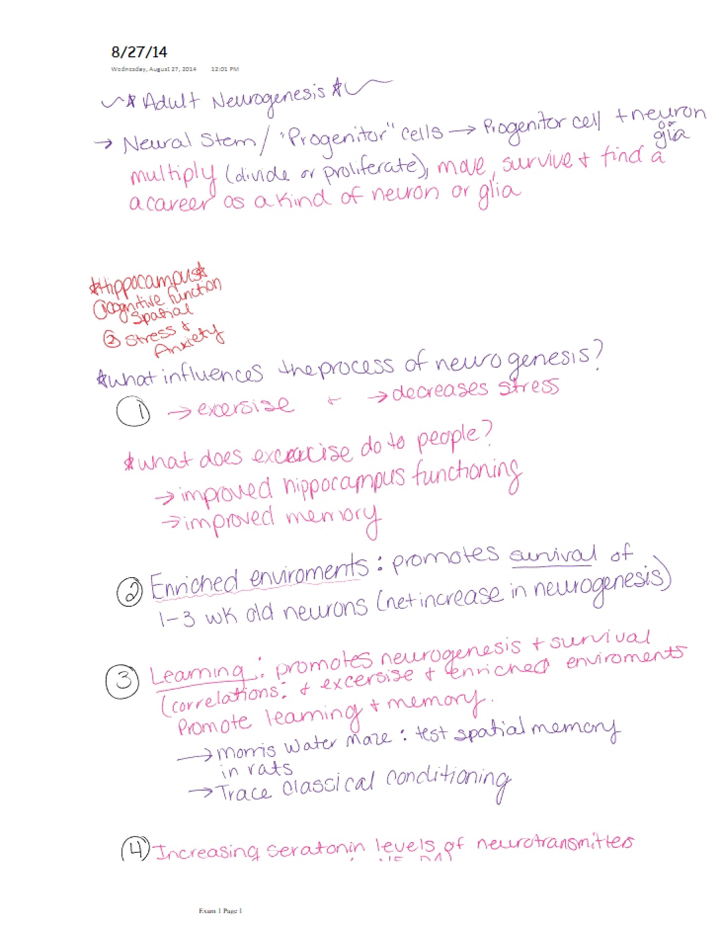 Lecture Notes