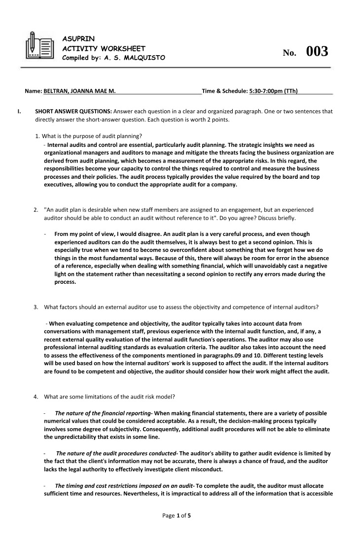 Worksheet on Audit Planning and Its Importance in Business