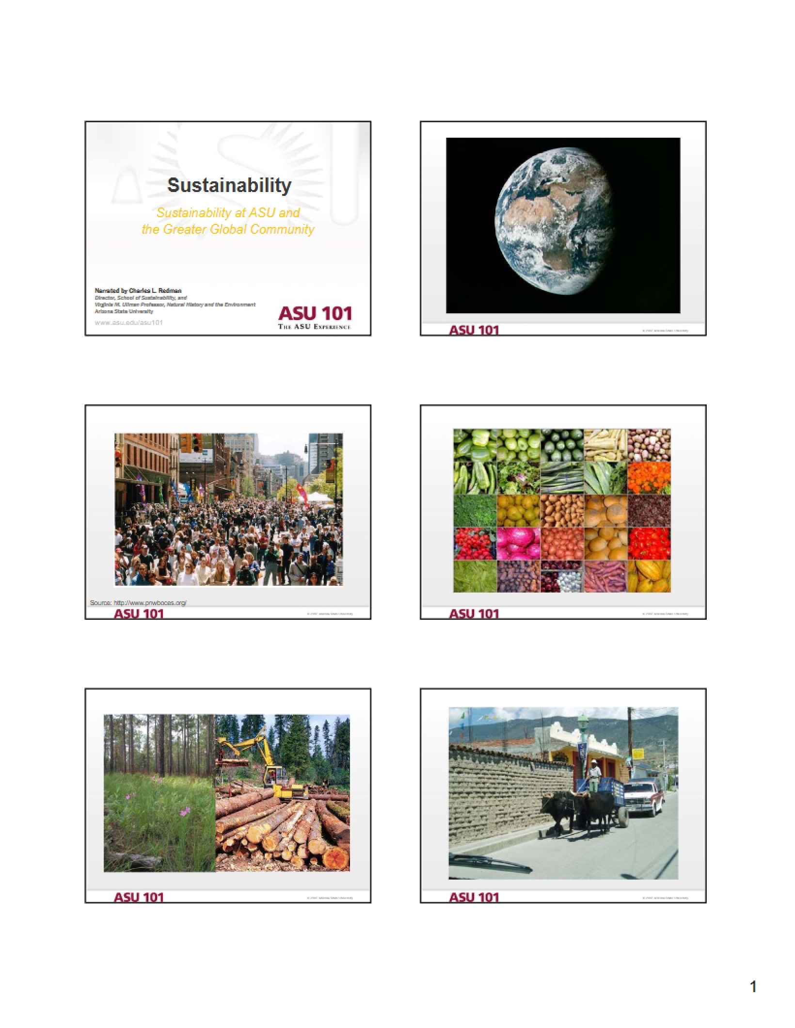 Introduction to Sustainability