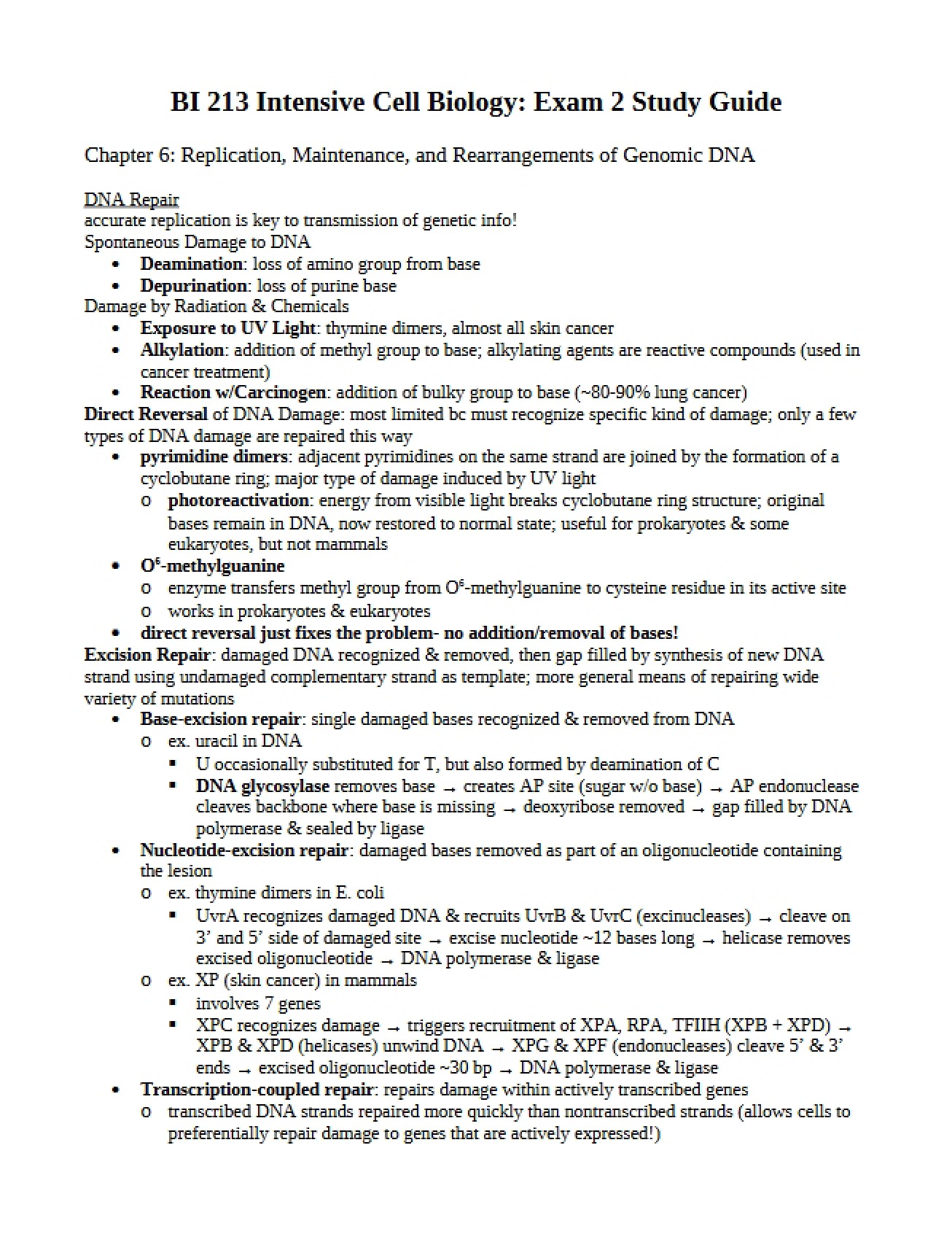 Sixth Chapter on DNA Replication