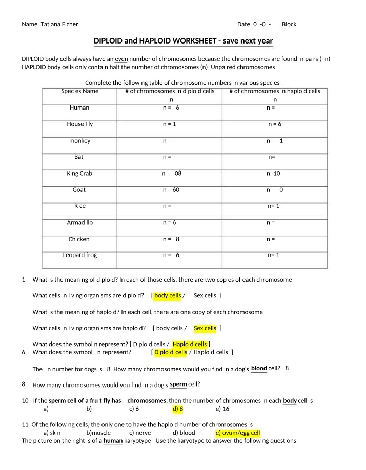 Worksheet on Haploid and Diploid