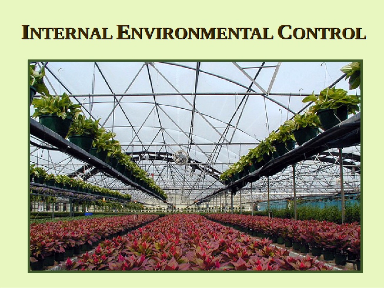 Environmental Control III - Floral Ed
