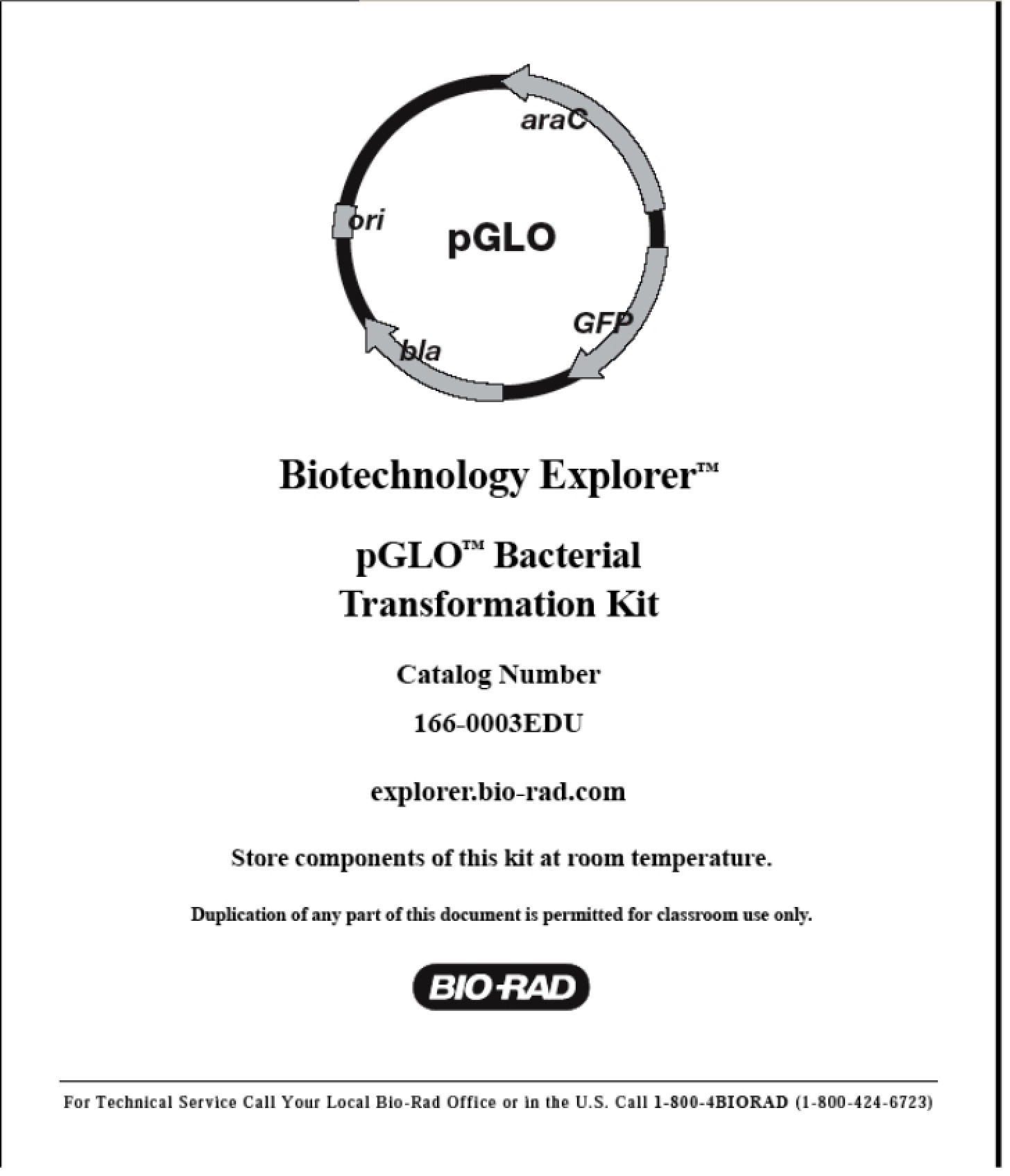 Transformation of pGLO