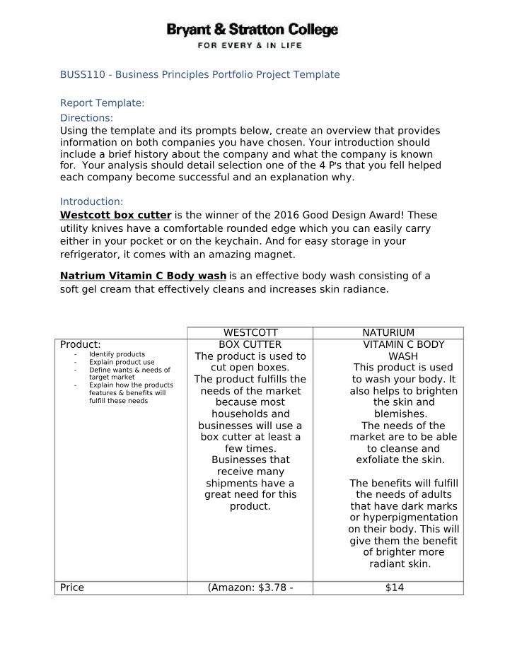 BUSS110 Portfolio Project Template Part A