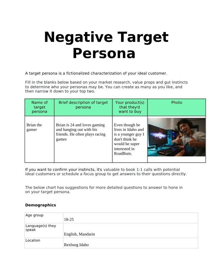 Negative Persona Profile - Brian the Gamer