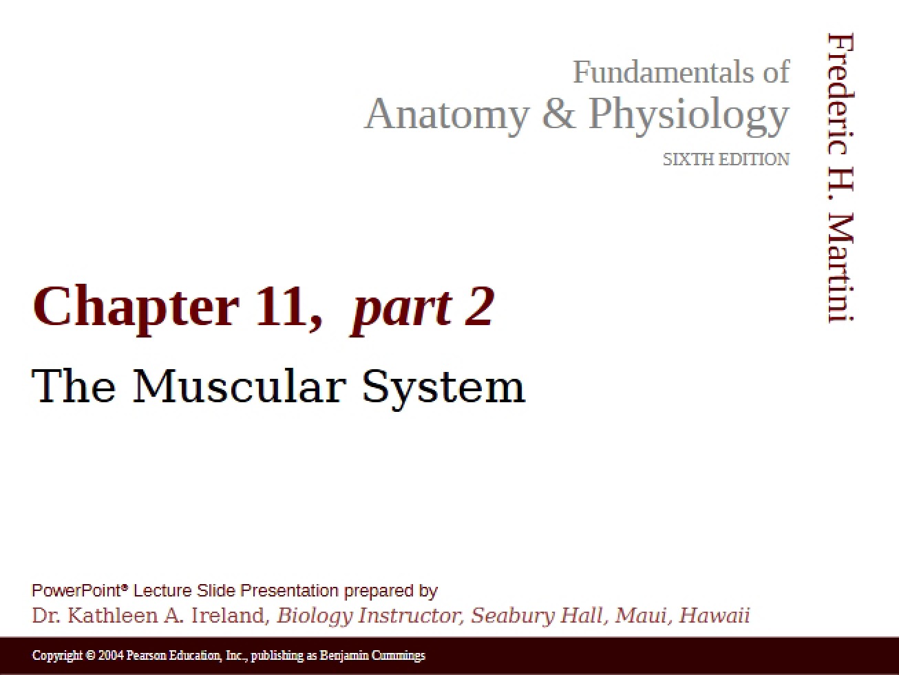 Muscular System Overview