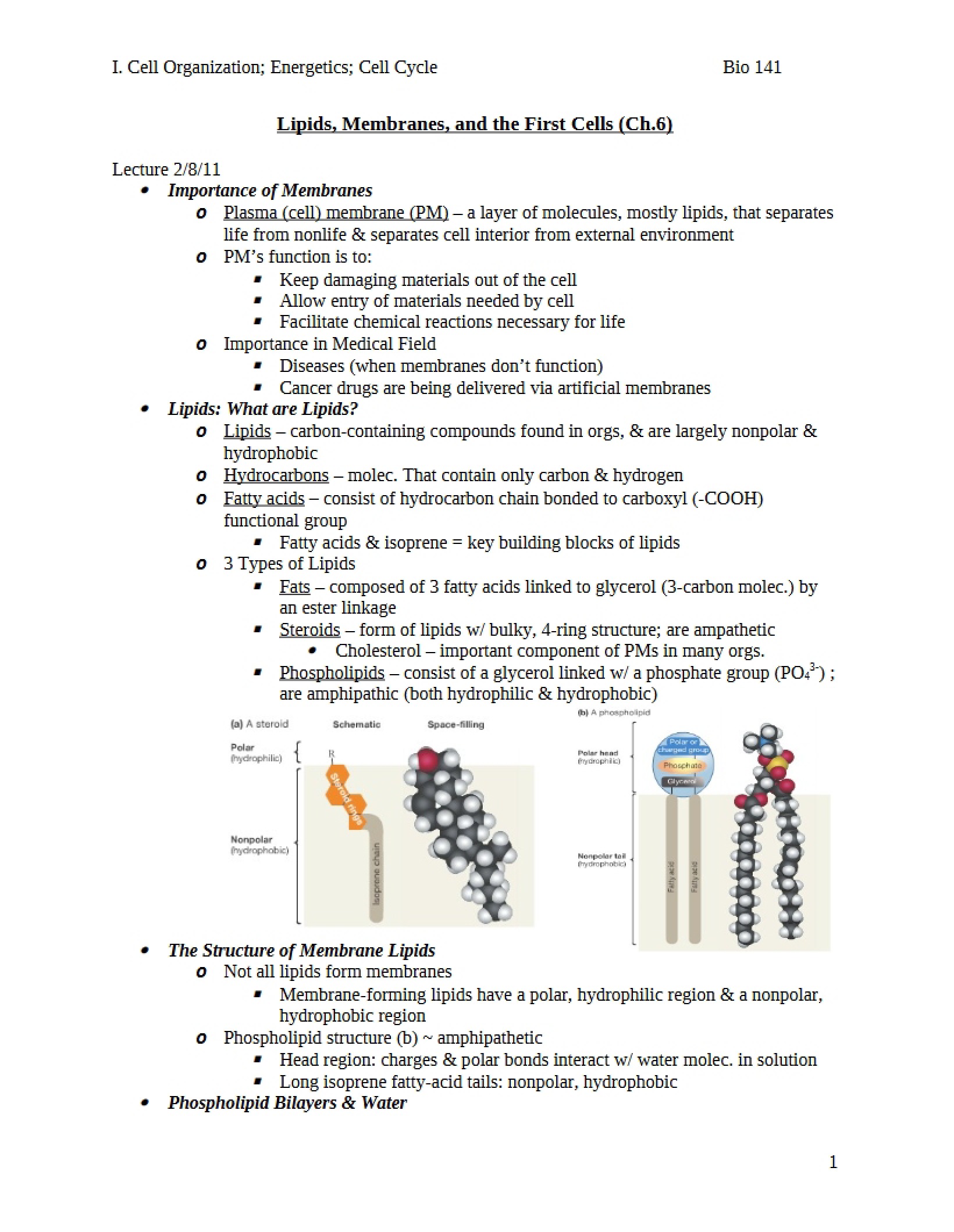 First Cells, Membranes, and Lipids
