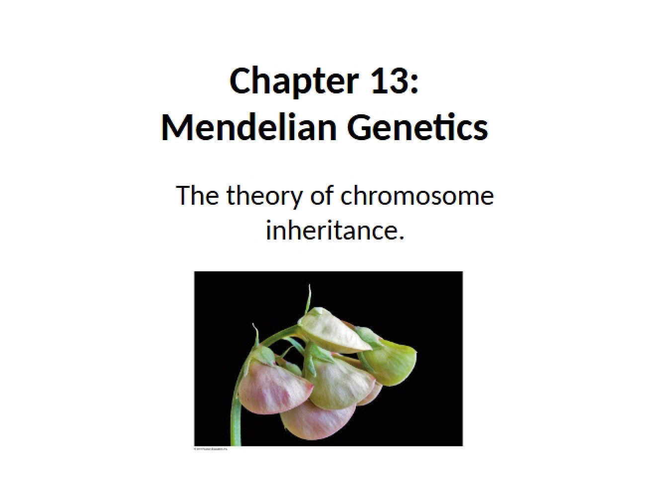 In-Class Lecture 38 Modern Biology