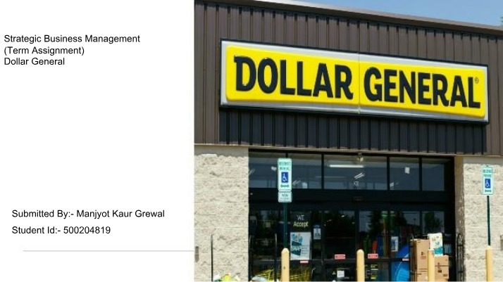 Strategic Business Management at Dollar General