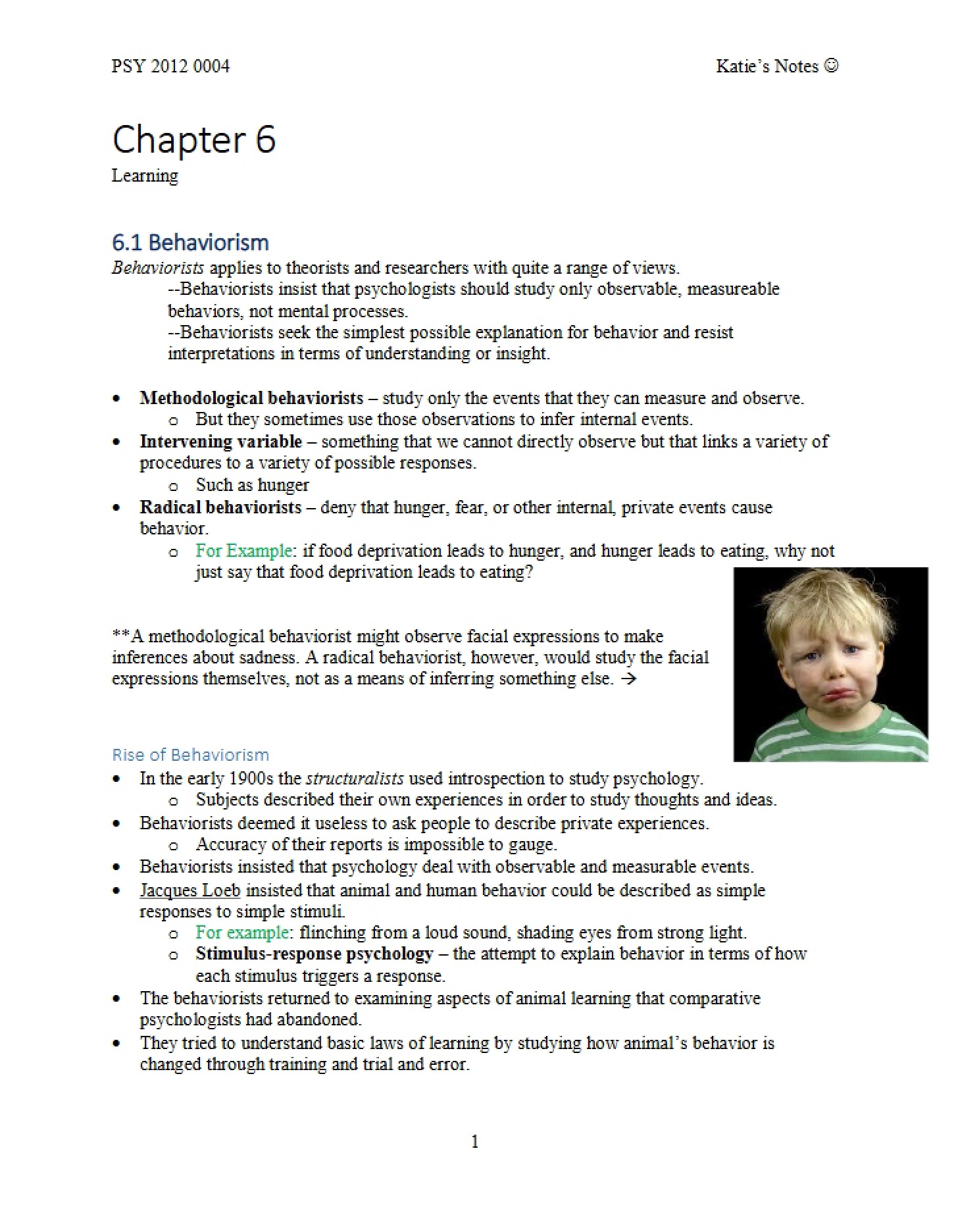 Learning Concepts (Chapter 6)