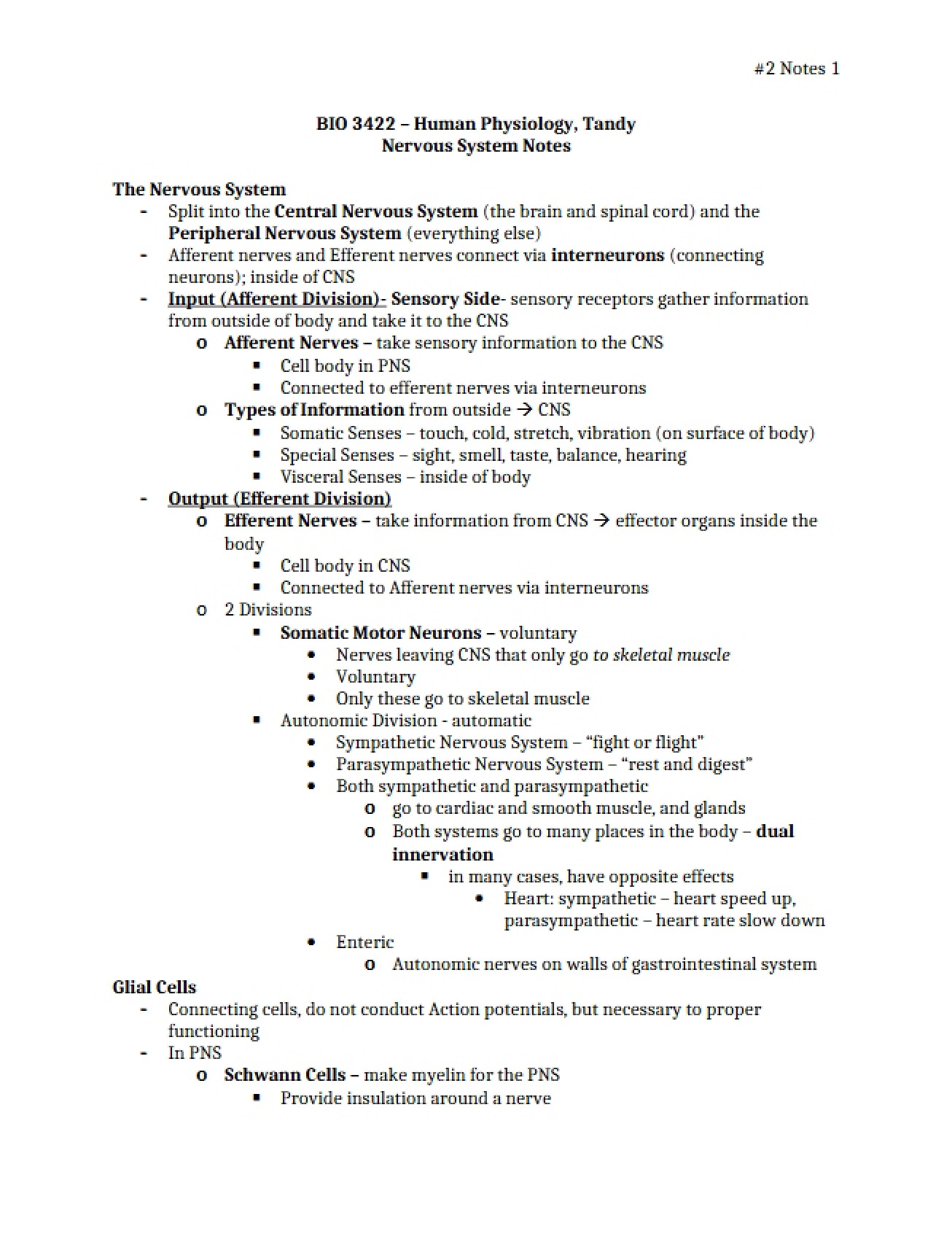 Nervous System Overview