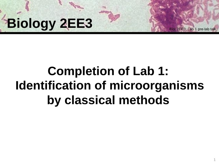 Pre-Lab Talk for Lab 1 - Identification of Microorganisms