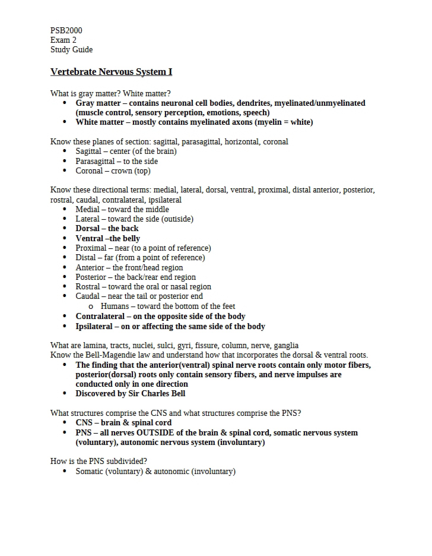 Visual System