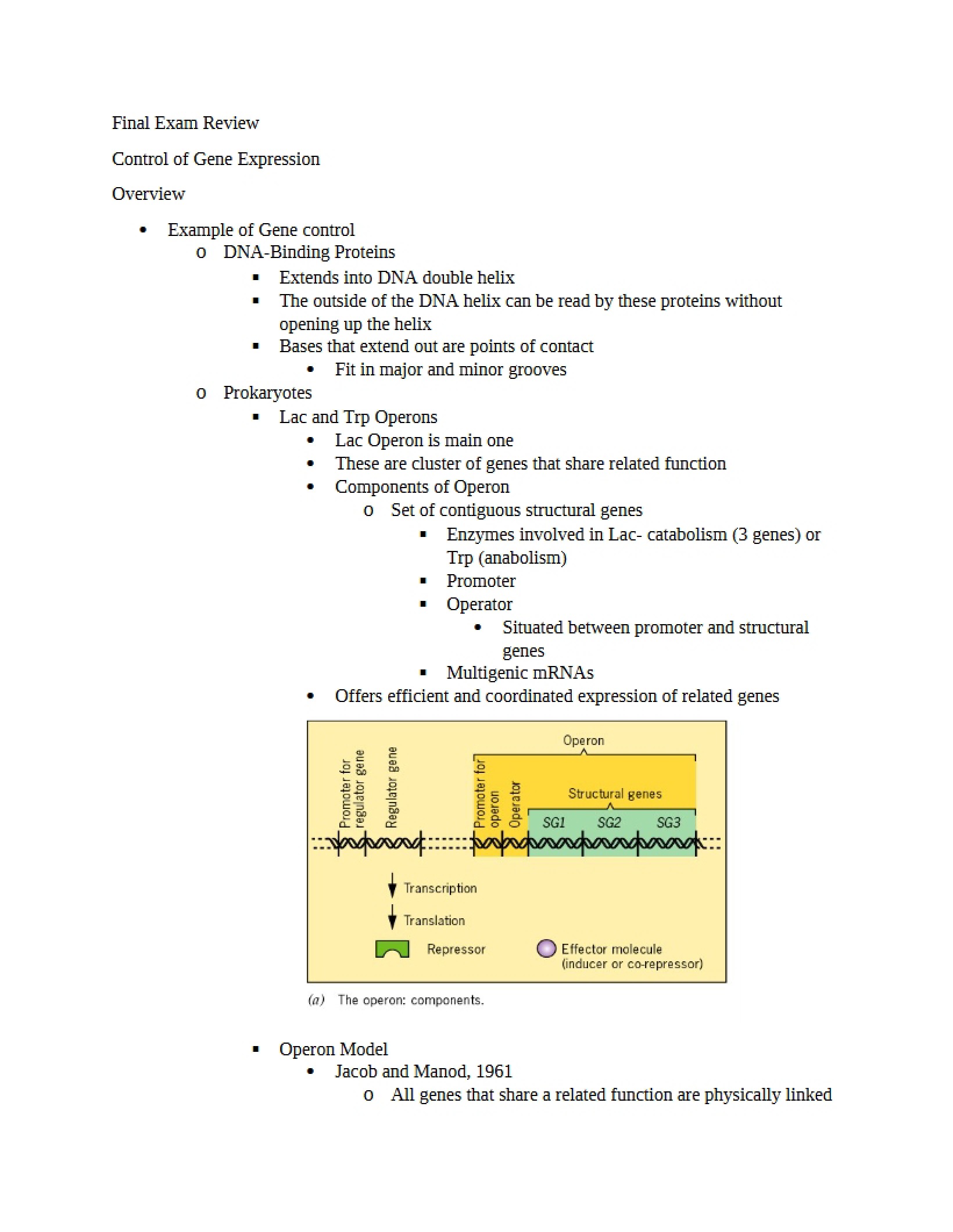 Developmental Biology Final Review
