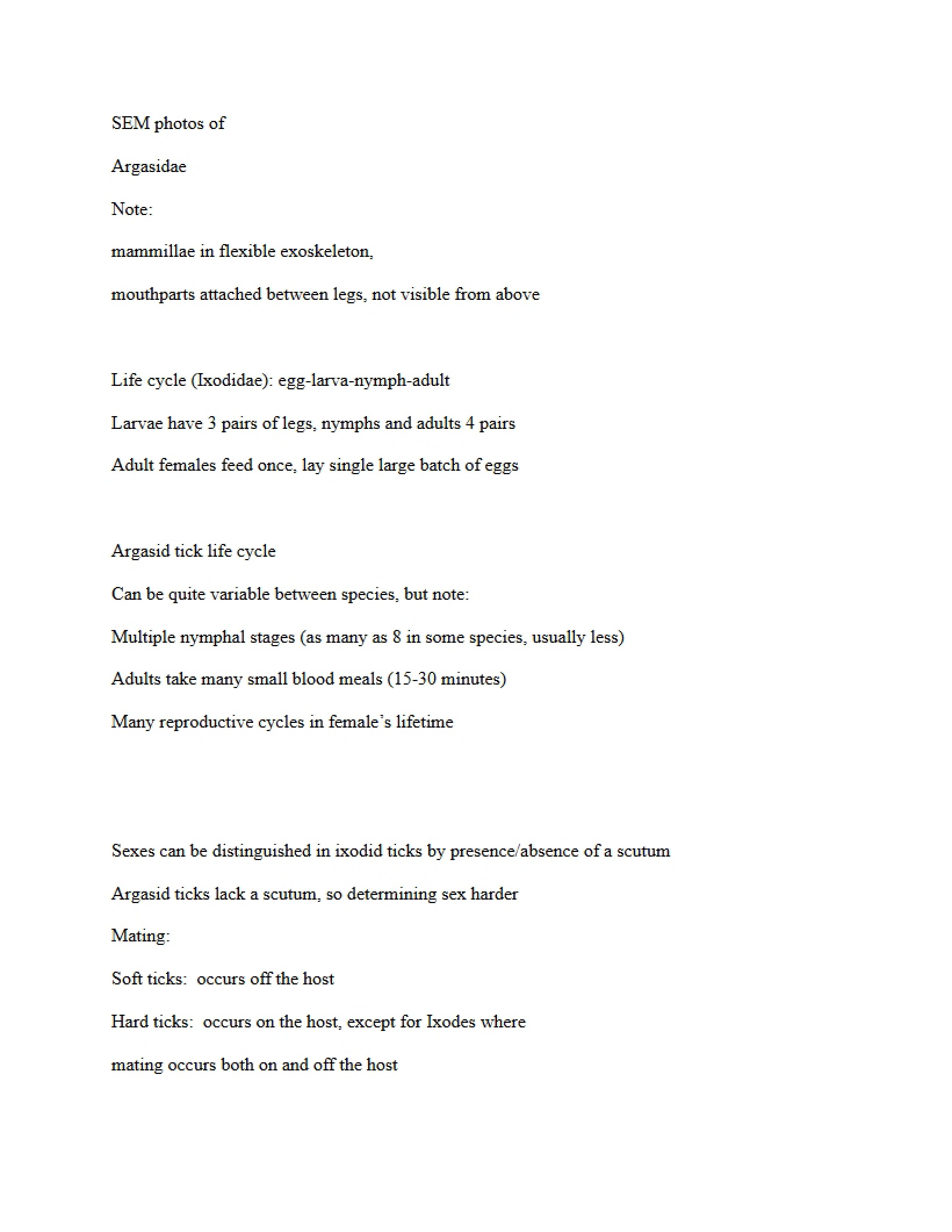 Notes on Insects Part 2