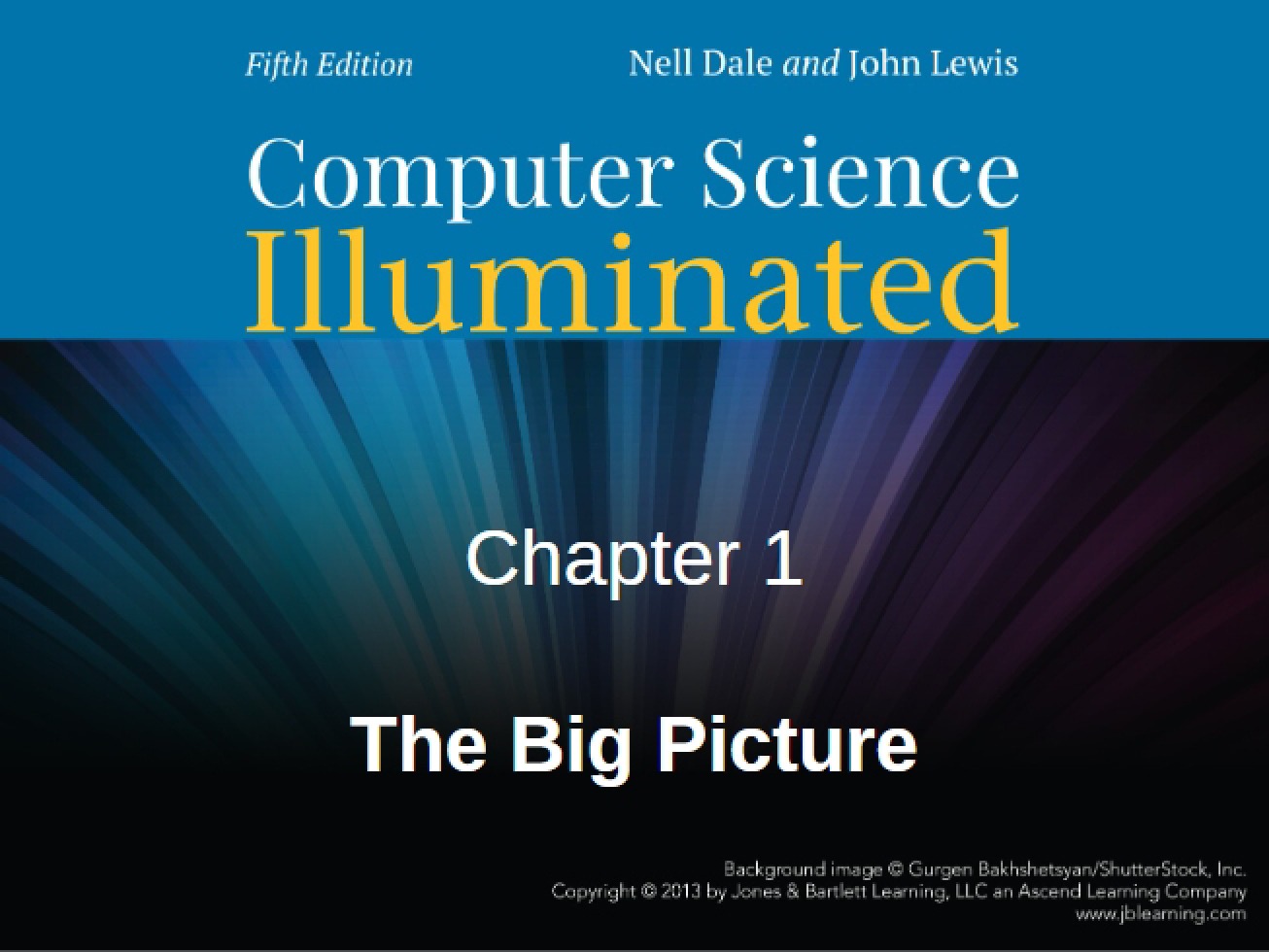 Big Picture Chapter 1