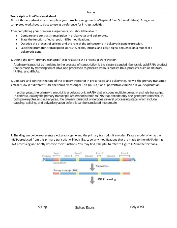 Worksheet on Transcription in Prokaryotes and Eukaryotes